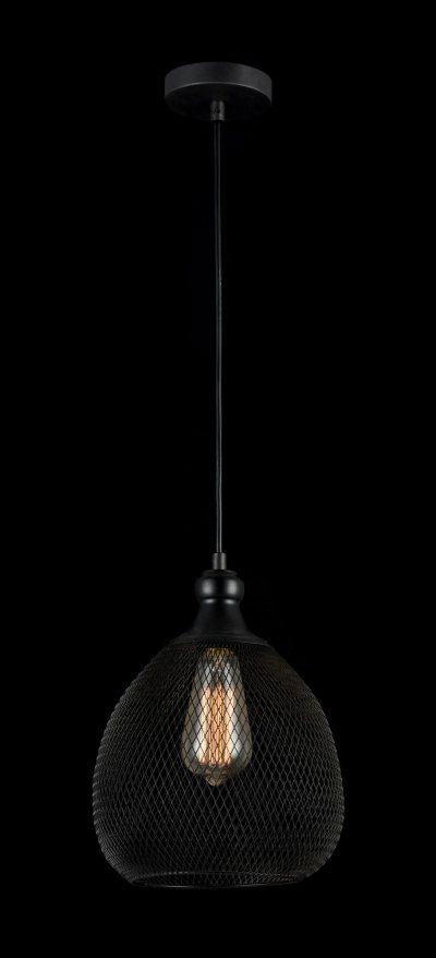 Подвесной светильник Maytoni T018-01-B