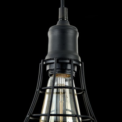 Подвесной светильник Maytoni T449-PL-01-B