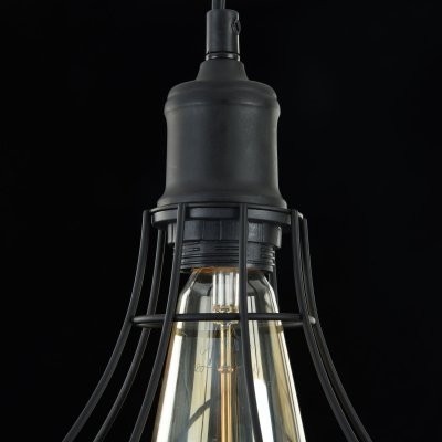 Подвесной светильник Maytoni T450-PL-01-B
