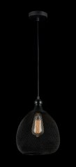 Подвесной светильник Maytoni T018-01-B